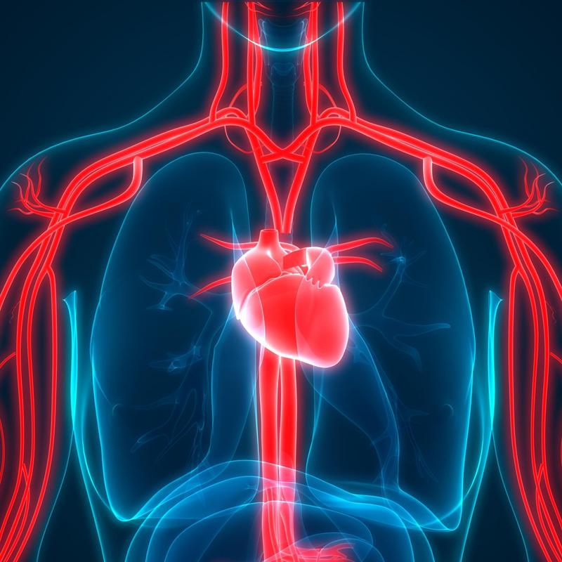 Czym jest niewydolność serca?