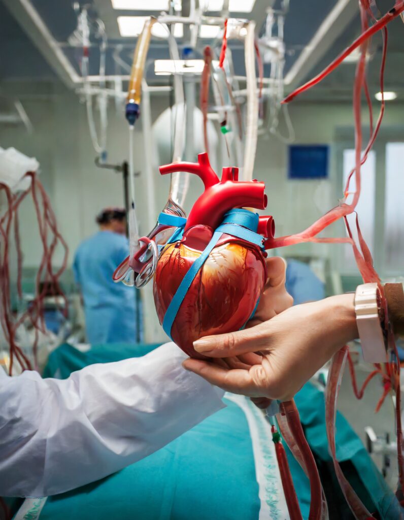 transplantacja serca