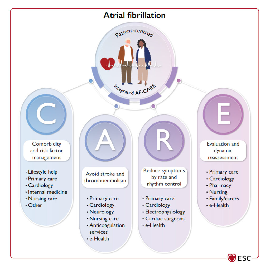 migotanie przedsionków, AF-CARE, udar mózgu, arytmia serca, ablacja, wytyczne ESC 2024, diagnoza AF, leczenie migotania przedsionków, zdrowie serca, prewencja udarów, zakrzepy, leczenie antykoagulacyjne, kontrola rytmu serca, zawał serca, ryzyko sercowo-naczyniowe, nadciśnienie, niewydolność serca, opieka nad pacjentem, styl życia, aktywność fizyczna, redukcja alkoholu, antyarytmiki, ablacja chirurgiczna, leczenie wielodyscyplinarne, ocena ryzyka, objawy AF, postępowanie z migotaniem